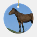 Search for mustang ornaments Bob langrish