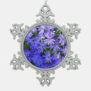 Recherche de fleur marguerite ornements Floral