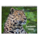 Recherche de leopard calendriers Léopards
