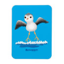 Recherche de bene magnets Pour tous