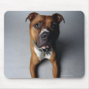 Search for bull terrier mousepads Animal