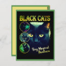 Recherche de amoureux les chats cartes postales Chat noir