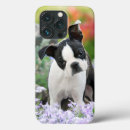Search for boston terrier lover iphone cases Dog