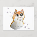 Recherche de visage de chat cartes postales Chatons