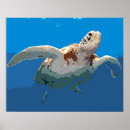 Search for turtle posters Green