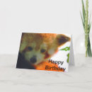 Search for red panda cards Wild