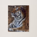 Recherche de chat sauvage puzzles Zoo