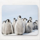 Recherche de pingouin bébé tapis souris Mignon