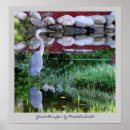 Search for great art posters Pond