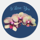 Search for trio stickers Nature