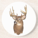 Recherche de cerfs communs de queue Andouillers