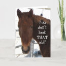Search for funny horse birthday cards cowboy