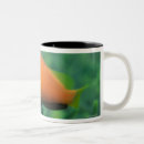 Search for one fish two fish mugs Side view
