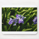Search for purple iris flower electronics Botanical