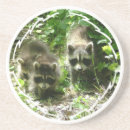 Search for critters coasters Rodent