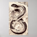 Search for amidst posters Elegant