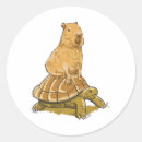 Search for funny turtle stickers Sea