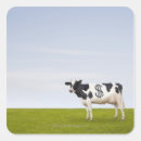 Search for holstein cow stickers Outdoors