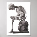 Search for human skeleton posters Illustration