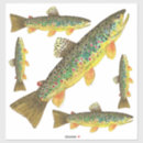 Search for cutting angle Fly fishing
