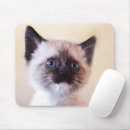 Recherche de masques tapis souris Animal