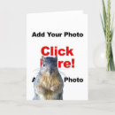 Search for squirrel photo cards Funny