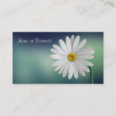Recherche de marguerie cartes visite Marguerite