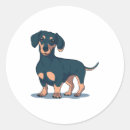 Search for black doxie stickers Dachshunds