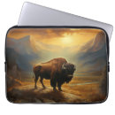 Search for theodore roosevelt electronics Usa