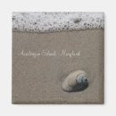 Search for clam shell magnets Sea