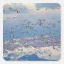 Search for geese stickers Lake