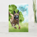 Search for dog lover cards Pet lovers