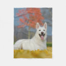 Recherche de ami velu Chien