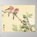 Search for vintage japanese flower posters Peony