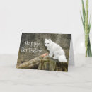 Search for arctic wolf cards Nature
