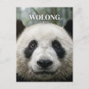 Search for nature reserve postcards Souvenir