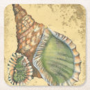 Recherche de coquillage dessous de verres Océan