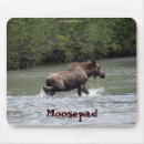 Search for moose mousepads Elk