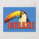 Search for belize postcards Toucan