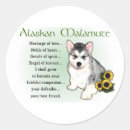 Recherche de alaskan malamute autocollants Chiot