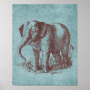 Search for vintage elephants posters Illustration