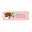 Search for orchid return address labels Phalaenopsis