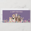 Search for dog trainer postcards Veterinarian