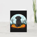 Search for corn lover cards Fairy light
