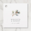 Search for pine cone Minimalist
