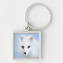 Search for arctic keychains Alaska