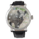 Search for rhino watches Zoo