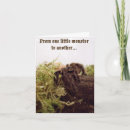 Search for tarantula cards Insect