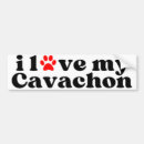 Search for printing bumper stickers Puppy