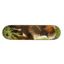 Recherche de primat skateboards Zoo